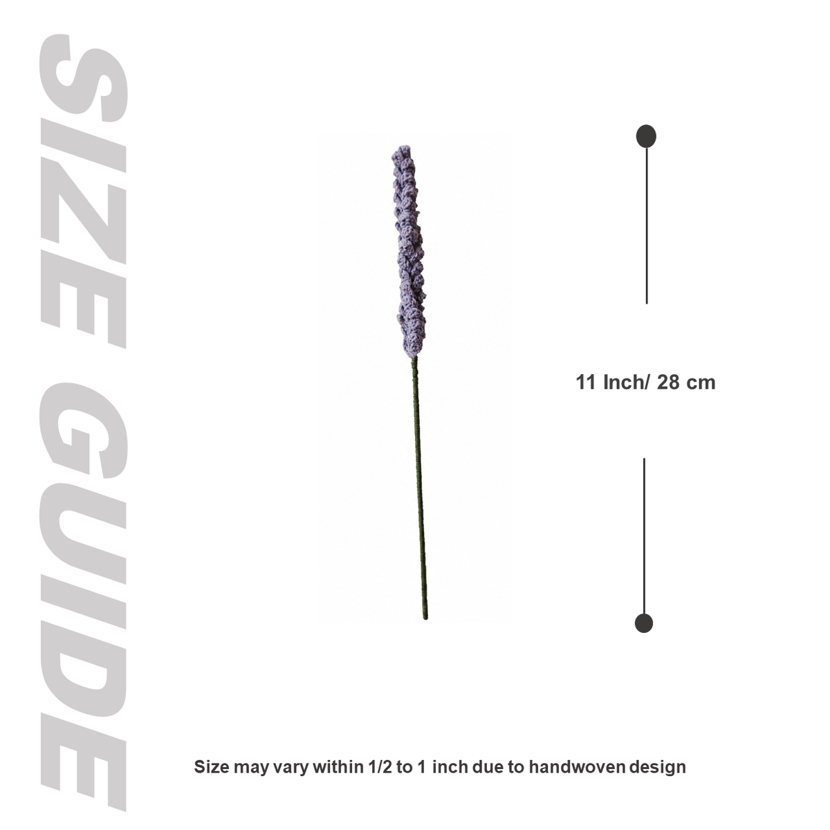 Size guide showing a lavender plant and a measurement of 11 inches on a white background.